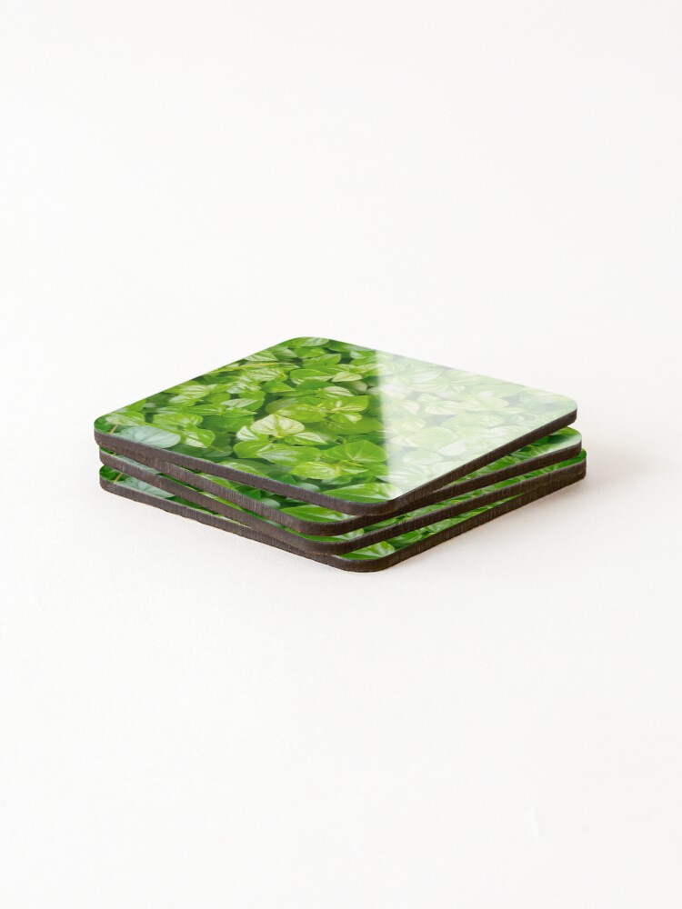 Thumbnail 4 of 5, Coasters (Set of 4), Greenery designed and sold by Ranikhan.