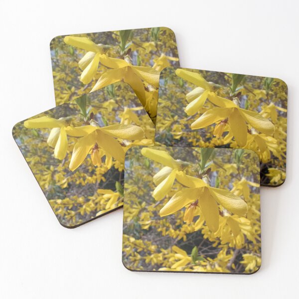 Item preview, Forsythia designed and sold by panickyOpossum.