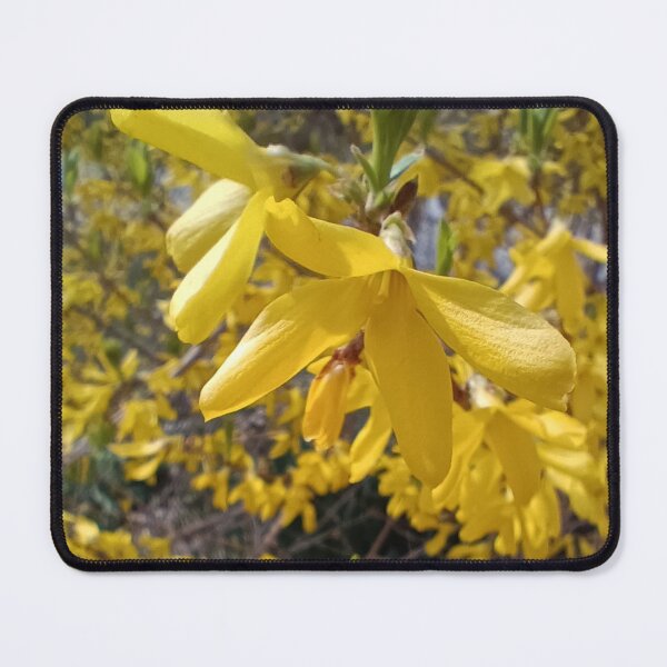Item preview, Forsythia designed and sold by panickyOpossum.