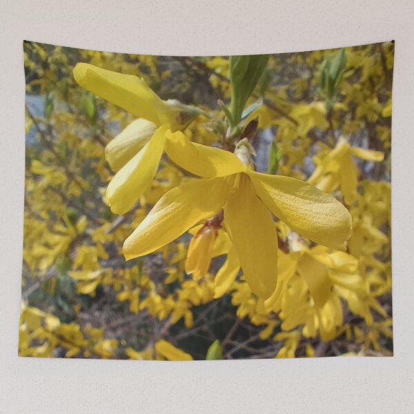 Item preview, Forsythia designed and sold by panickyOpossum.