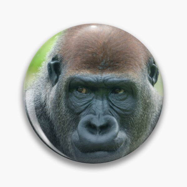 Item preview, Gorilla Aybo’s Detailed Portrait designed and sold by rawshutterbug.
