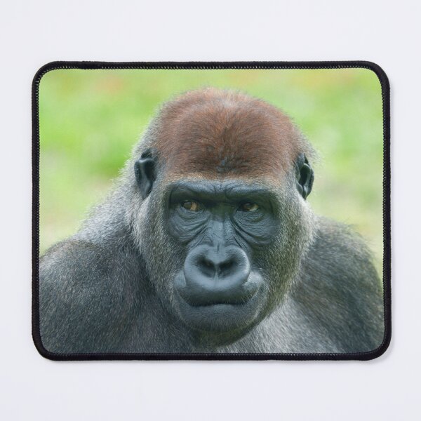 Item preview, Gorilla Aybo’s Detailed Portrait designed and sold by rawshutterbug.