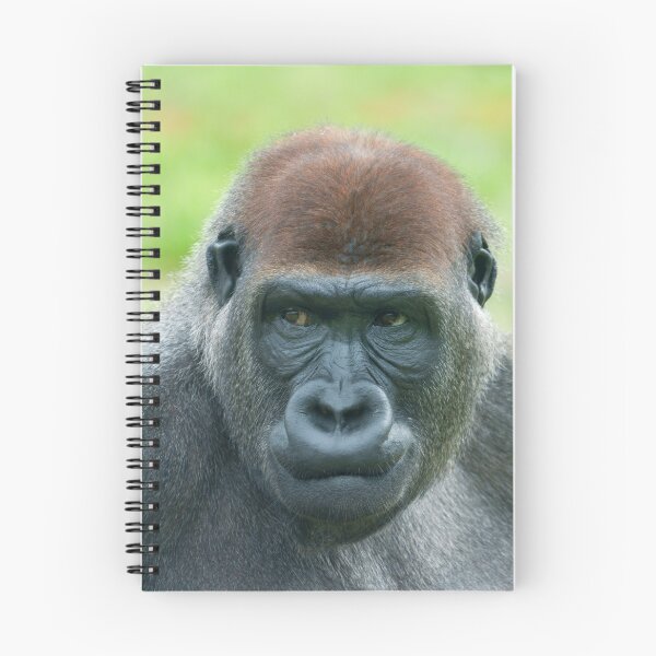 Item preview, Gorilla Aybo’s Detailed Portrait designed and sold by rawshutterbug.