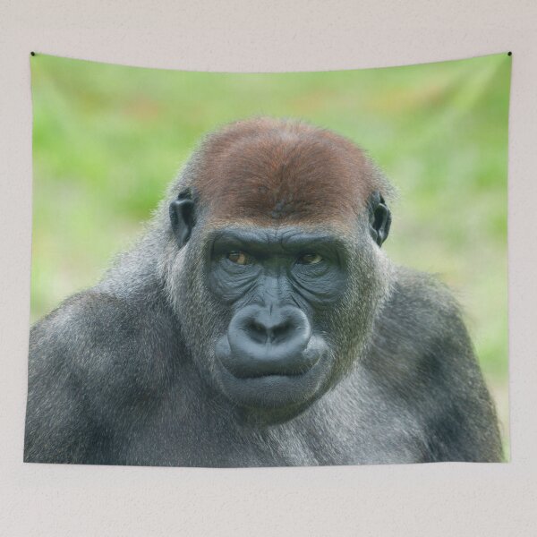 Item preview, Gorilla Aybo’s Detailed Portrait designed and sold by rawshutterbug.