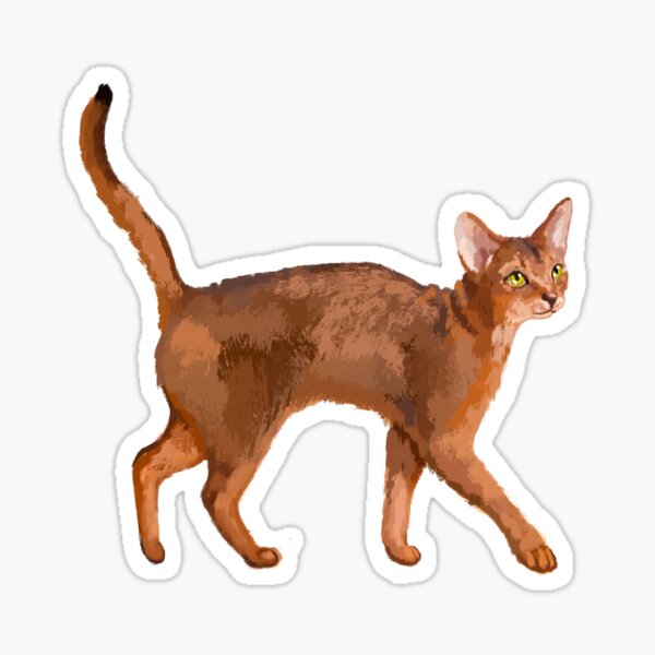 Item preview, Abyssinian Cat Abys designed and sold by MichaeIRellov.