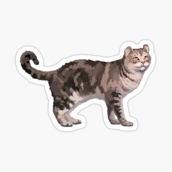 Item preview, American Curl Cat designed and sold by MichaeIRellov.