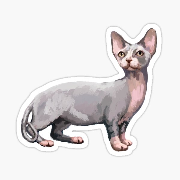 Item preview, Bambino Cat designed and sold by MichaeIRellov.