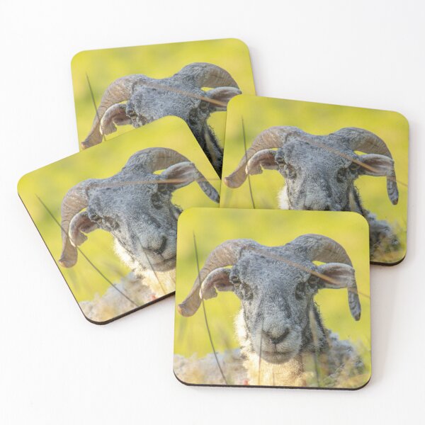 Item preview, Sheep designed and sold by ZakYates.