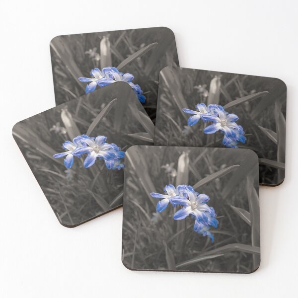 Item preview, blue spring bloomer star hyacinth in monochrome designed and sold by TW-Fotos.