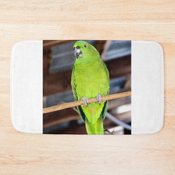 Item preview, Yellow Naped Amazon Parrot designed and sold by MercerImages.