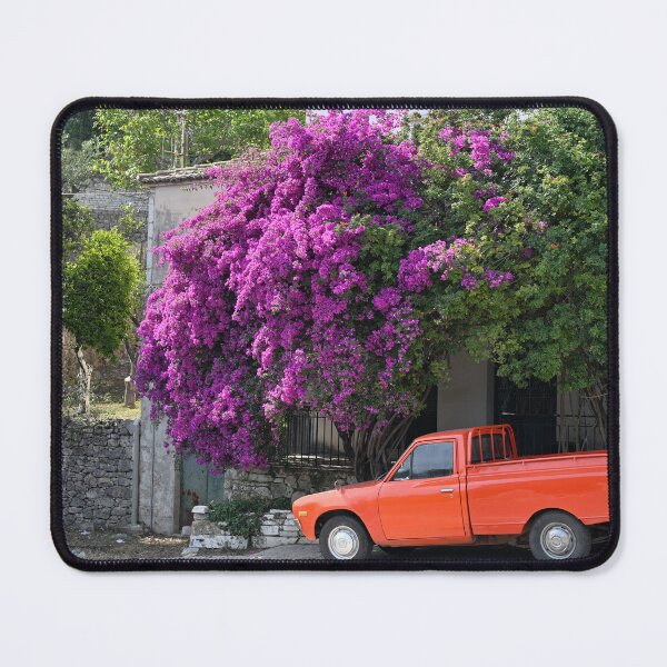 Item preview, Crete island, Greece, Large bougainvillea tree blooms in summer designed and sold by studio838.
