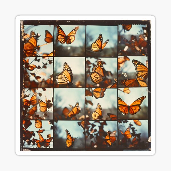 Item preview, Monarch Butterfly in Sunlight – Nature Photography for Butterfly Lovers designed and sold by RockFireMerch.