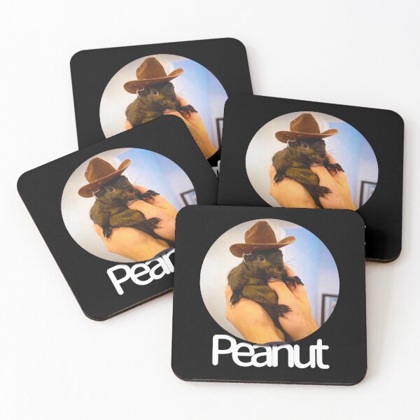 Item preview,  Peanut the Squirrel Crypto Meme Coin designed and sold by CryptooBull.