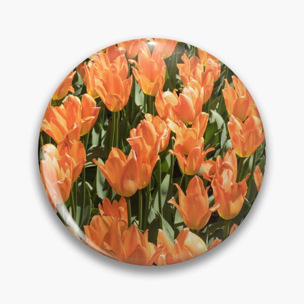 Item preview, Sunshiny Tangerine Colored Tulips Abloom designed and sold by Georgia Mizuleva.