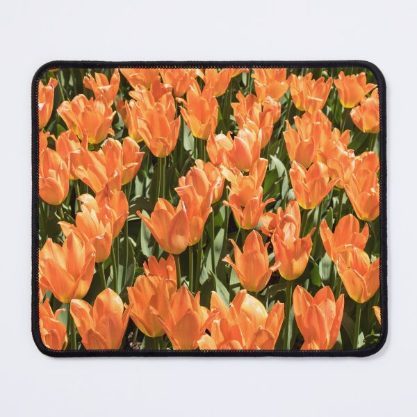 Item preview, Sunshiny Tangerine Colored Tulips Abloom designed and sold by Georgia Mizuleva.