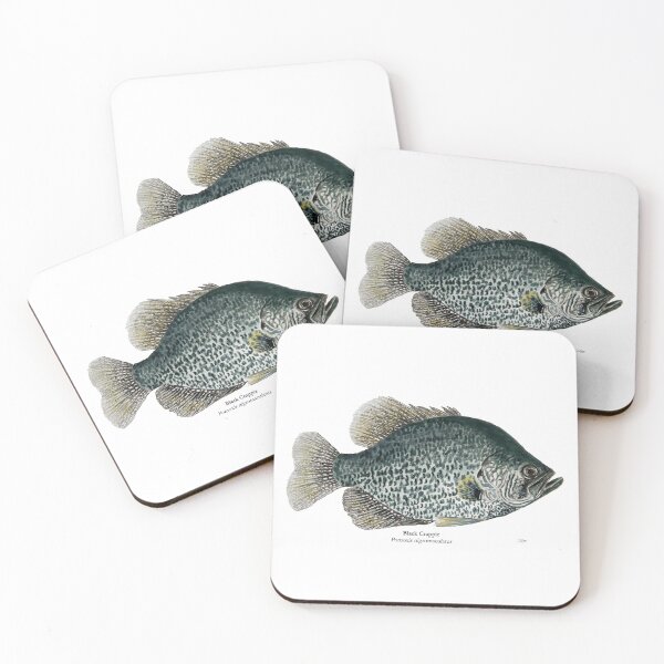 Item preview,  Lake Black Crappie Painting designed and sold by Stephen Emms.