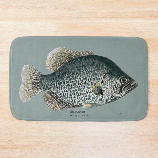 Item preview,  Lake Black Crappie Painting designed and sold by Stephen Emms.