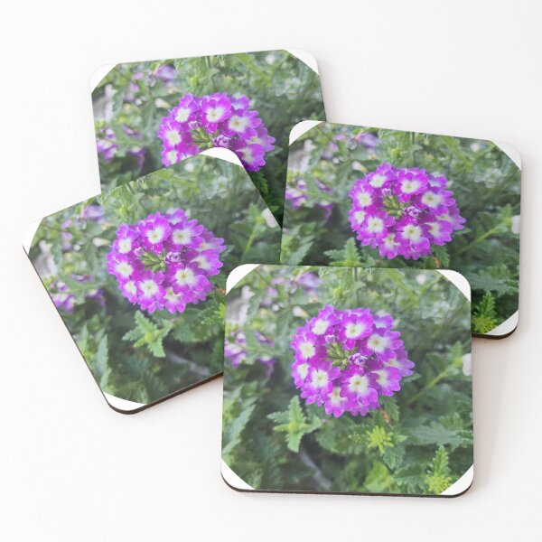 Item preview, Purple bundles designed and sold by Doozy103.