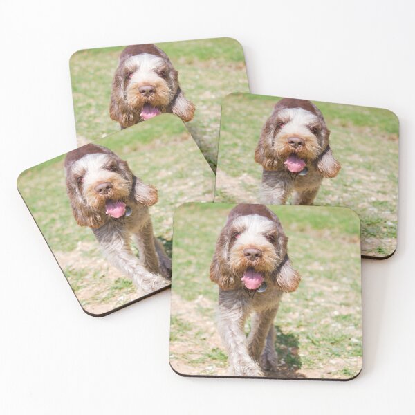 Item preview, Returning Spinone designed and sold by FOLK ART FUSION by heidiannemorris.