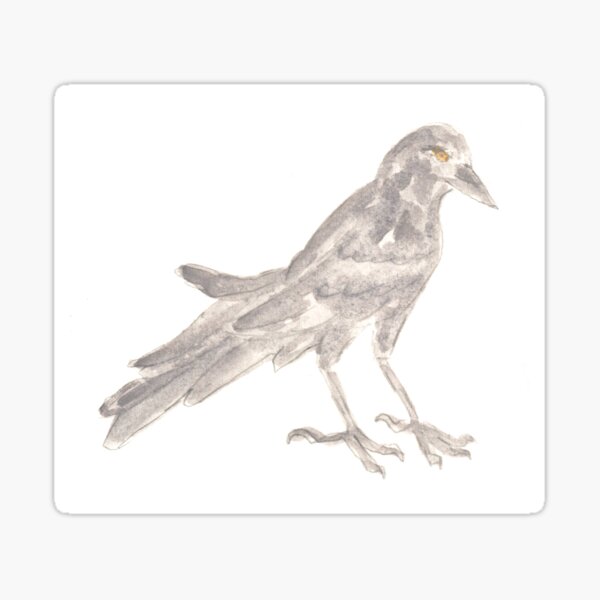 Artikel-Vorschau von Vogel, Rabe, Dohle. Aquarellillustration, handgezeichnetes modernes, designt und verkauft von grafinya.