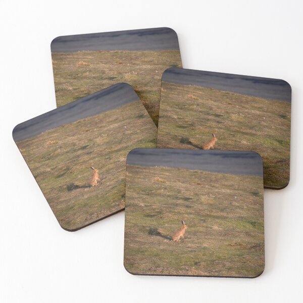 Item preview, High Pennine Hare designed and sold by RedGrouse.