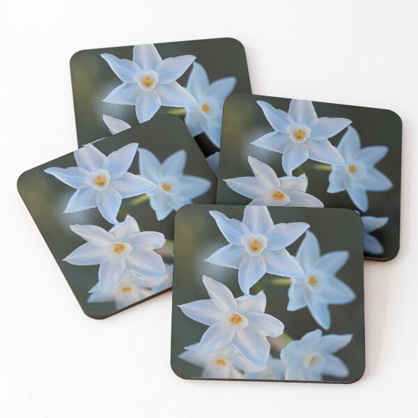 Item preview, Winters Glow of Paperwhite Flowers designed and sold by Joy Watson - Natural Light Photography .