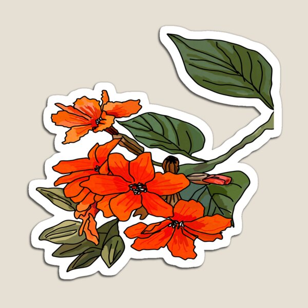 Item preview, Cordia sebestena, Geiger tree designed and sold by Kaewtaming.