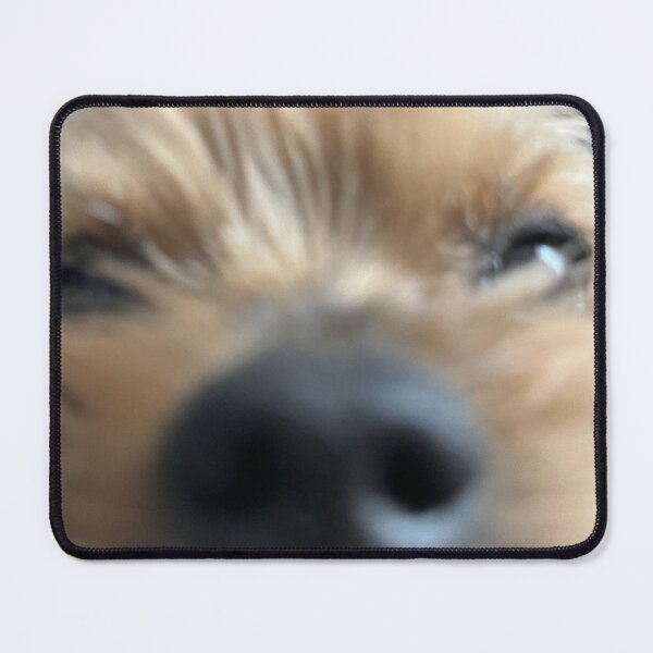 Item preview, joyeux the nose designed and sold by Diane0100.