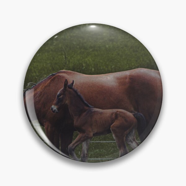 Item preview, Horses in the Amish country designed and sold by PixbyOlga.