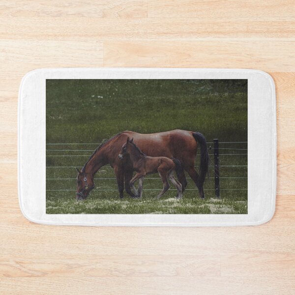Item preview, Horses in the Amish country designed and sold by PixbyOlga.