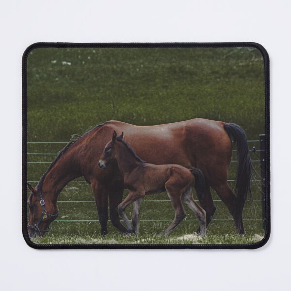 Item preview, Horses in the Amish country designed and sold by PixbyOlga.