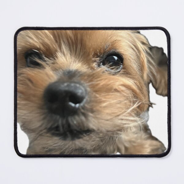 Item preview, jojoooo designed and sold by Diane0100.