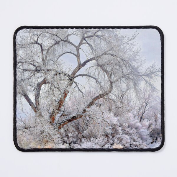 Item preview, Cottonwood Winter designed and sold by Wayne King.