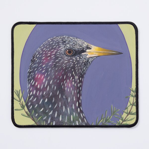 Item preview, Starling – Hand-painted bird portrait in watercolor and gouache designed and sold by Laura Hartleif.
