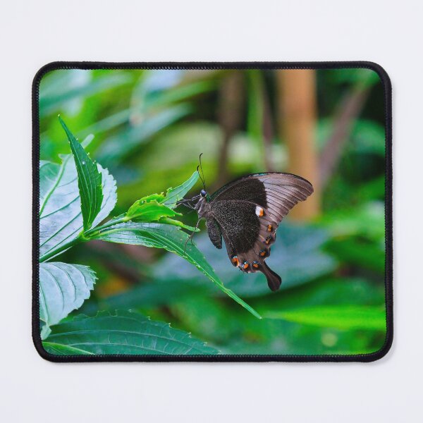 Item preview, Emerald Dreams designed and sold by The Neo Buddha Photography.