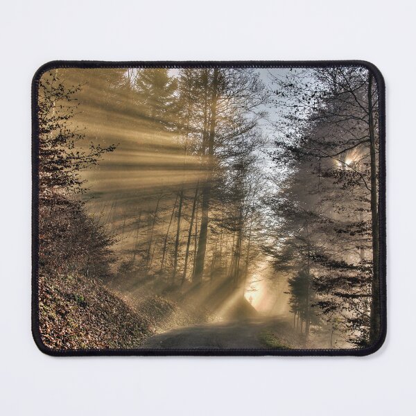 Item preview, Sunbeams in the fog – Magical play of light in the morning forest designed and sold by beatbieri.ch.
