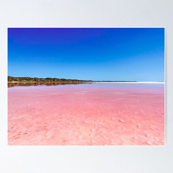 Item preview, Pink Lake (2) designed and sold by danasdiary.