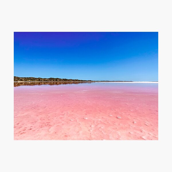 Item preview, Pink Lake (2) designed and sold by danasdiary.