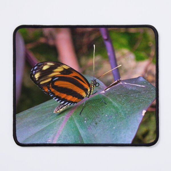 Item preview, Tiger in the Sky designed and sold by The Neo Buddha Photography.