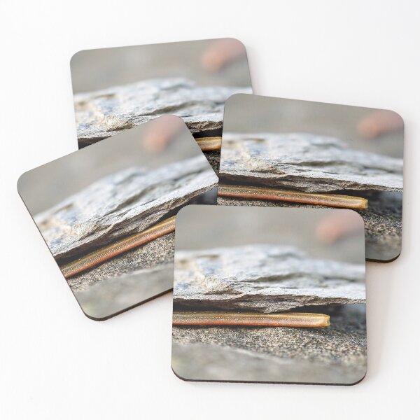 Item preview, Pine needles under slate – natural detail in perfect harmony designed and sold by beatbieri.ch.
