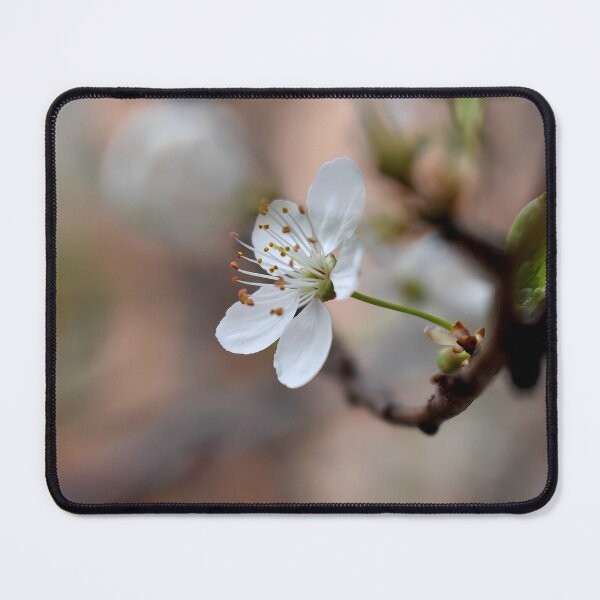 Item preview, Cherry plum blossom spring theme designed and sold by mariya-ivanova.