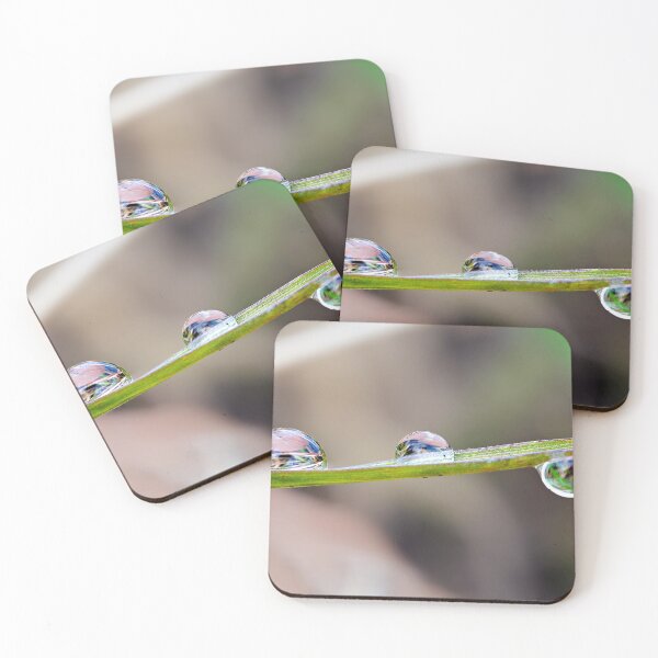 Item preview, Water drops on a blade of grass – delicate balance in nature designed and sold by beatbieri.ch.