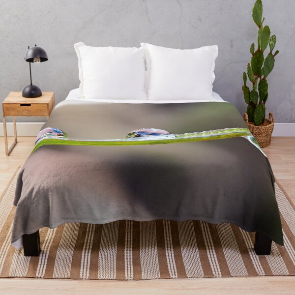 Item preview, Water drops on a blade of grass – delicate balance in nature designed and sold by beatbieri.ch.