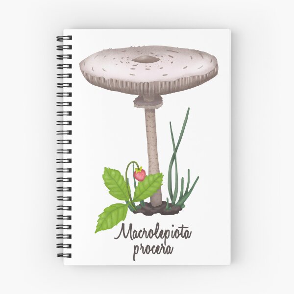Item preview, Mushroom Macrolepiota Procera designed and sold by kidizajn.