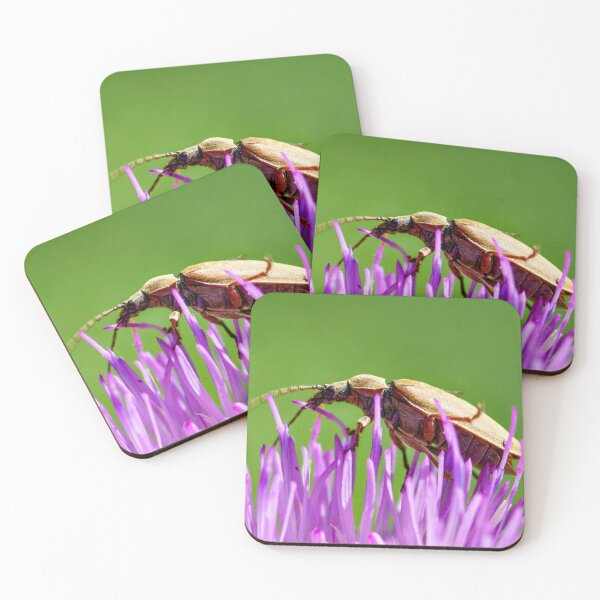 Item preview, Beetles – a wealth of colours and shapes in miniature designed and sold by beatbieri.ch.