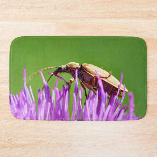 Item preview, Beetles – a wealth of colours and shapes in miniature designed and sold by beatbieri.ch.