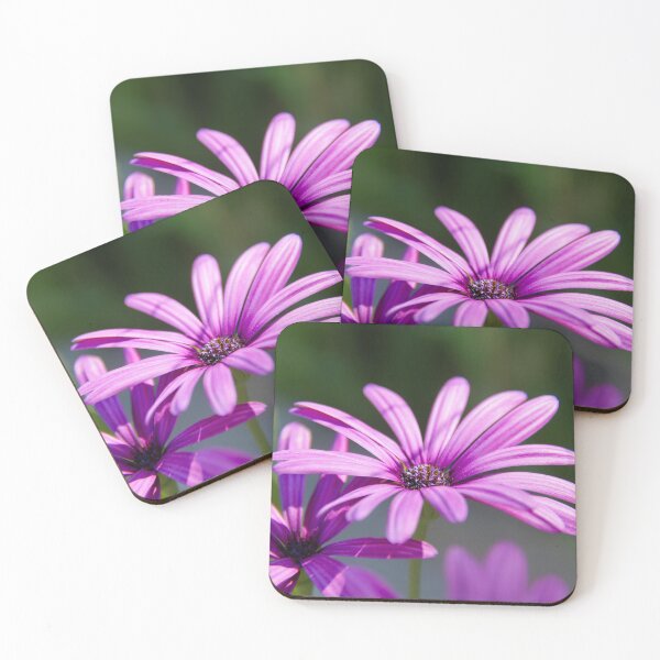 Item preview, Bornholm daisy – colorful beauty from the south designed and sold by beatbieri.ch.