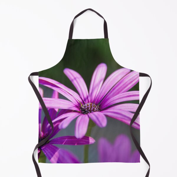 Item preview, Bornholm daisy – colorful beauty from the south designed and sold by beatbieri.ch.