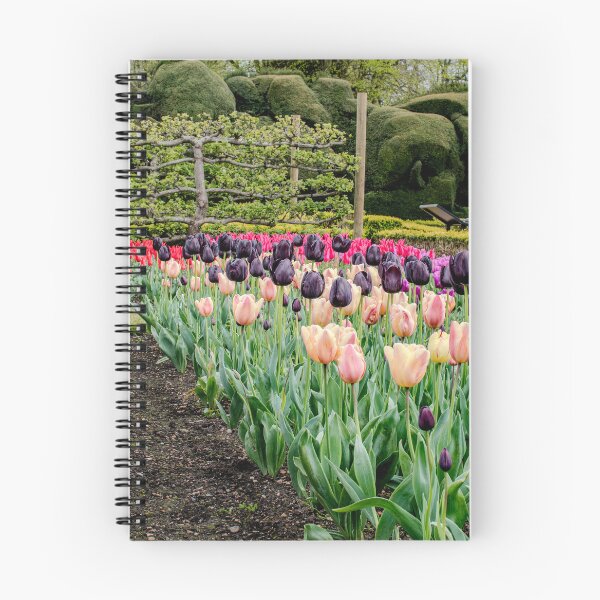 Item preview, Spring flowers designed and sold by lowtidecreative.