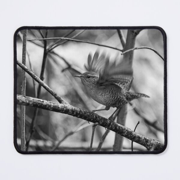 Item preview, Arrival. Eurasian wren bw designed and sold by Jouko Lehto Photography.